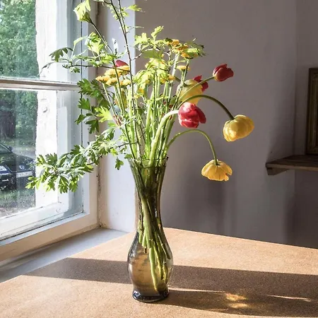 Wohnen im Schlosspark / Werner-Wohnung Apartment *